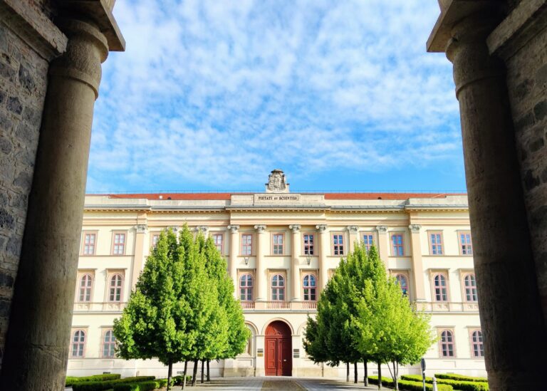 szakhomlok00264E6271A-FA9C-2EFE-3F42-CFE10C64849D